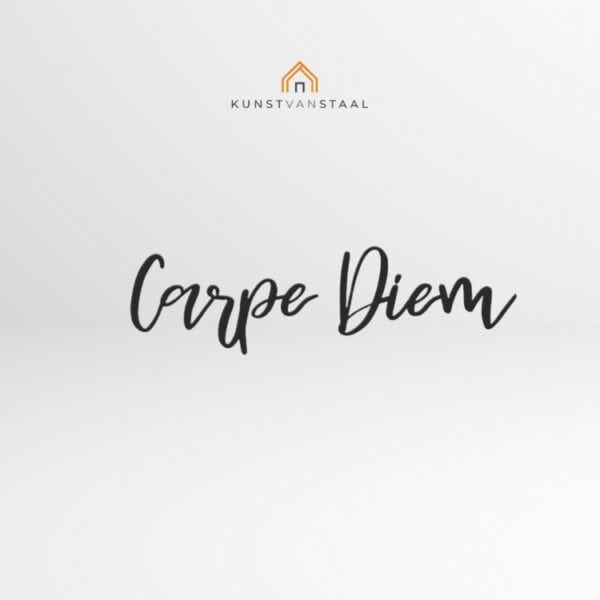 Metalen wanddecoratie _Carpe Diem