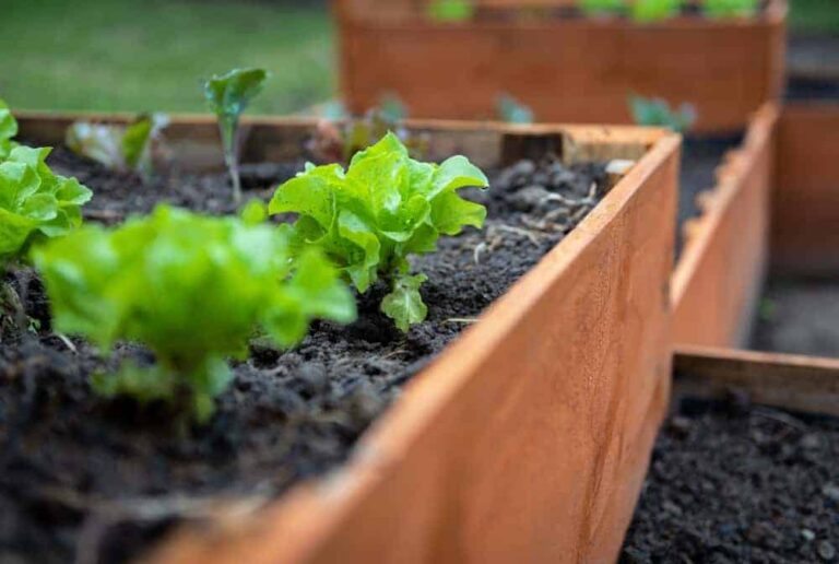 Cortenstaal Tuinbanken: Stijl en Comfort