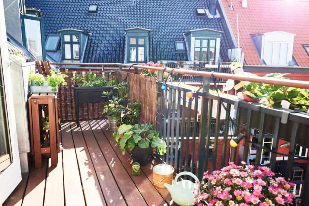 planten voor het balkon