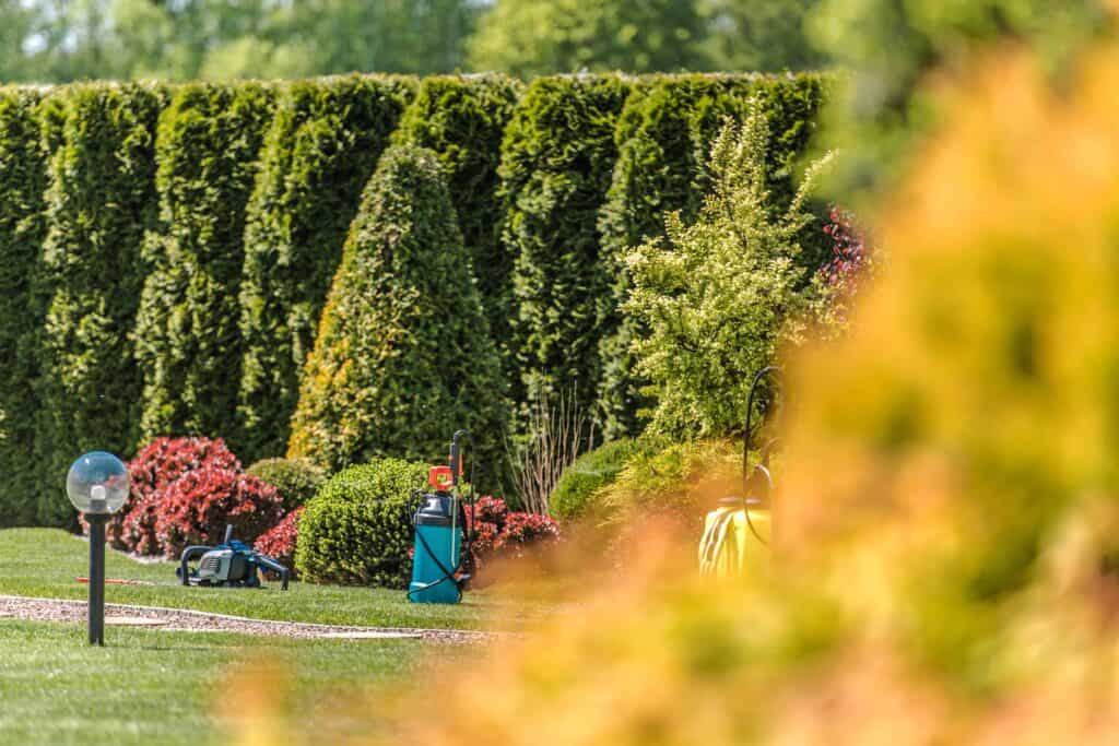 Hoe krijg je een mooie tuin?