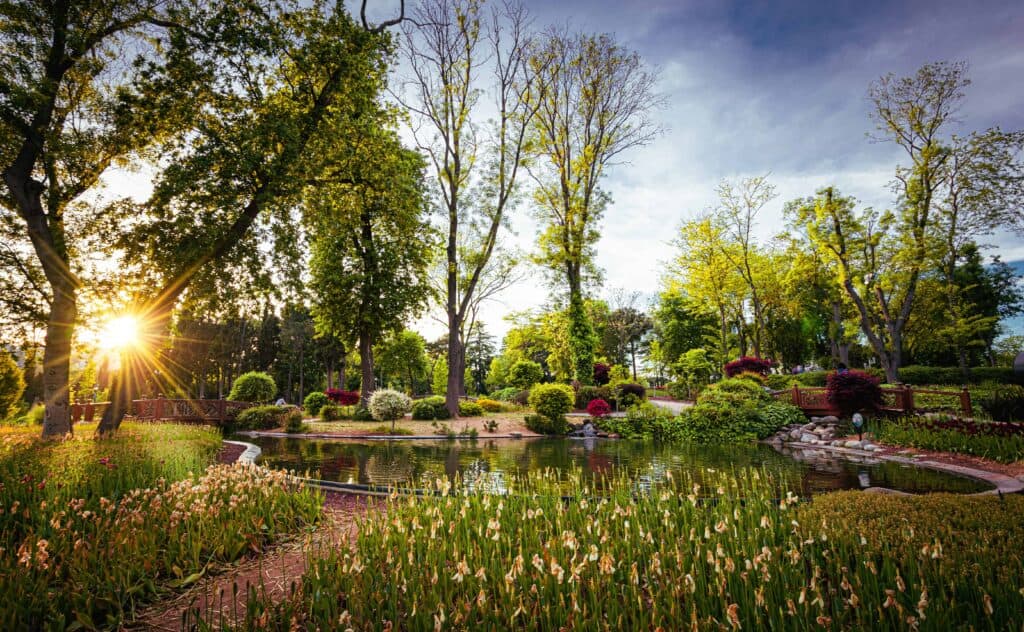 Hoe laat je een kleine tuin groter lijken?