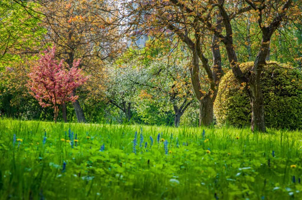 Hoe verhoog je je tuin?