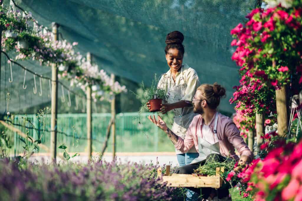 Pokon bemeste tuincompost