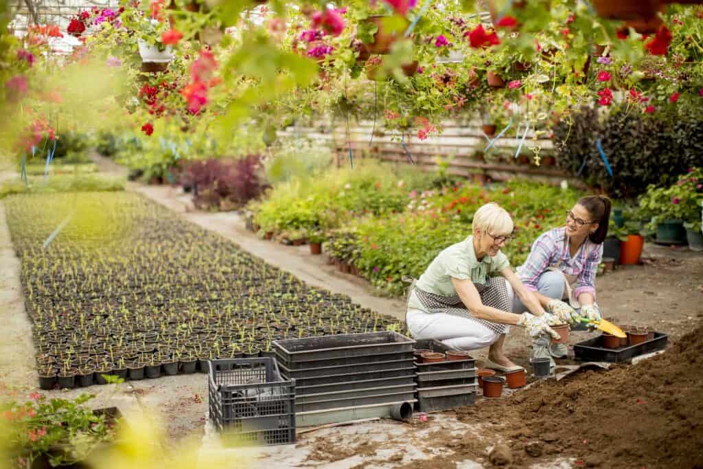 Tuin met siergras en grind