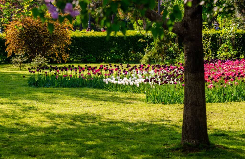 Waar moet je opletten bij het ontwerpen van een tuin?