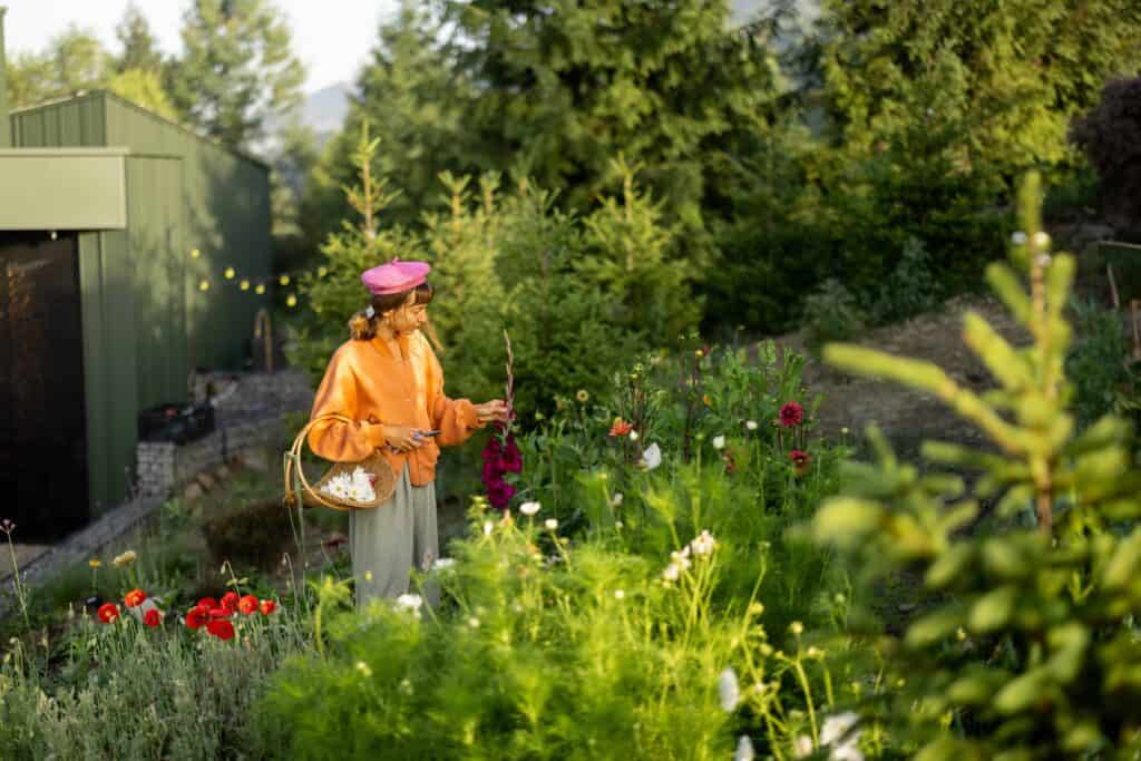 Wat kost het om een tuin aan te leggen?