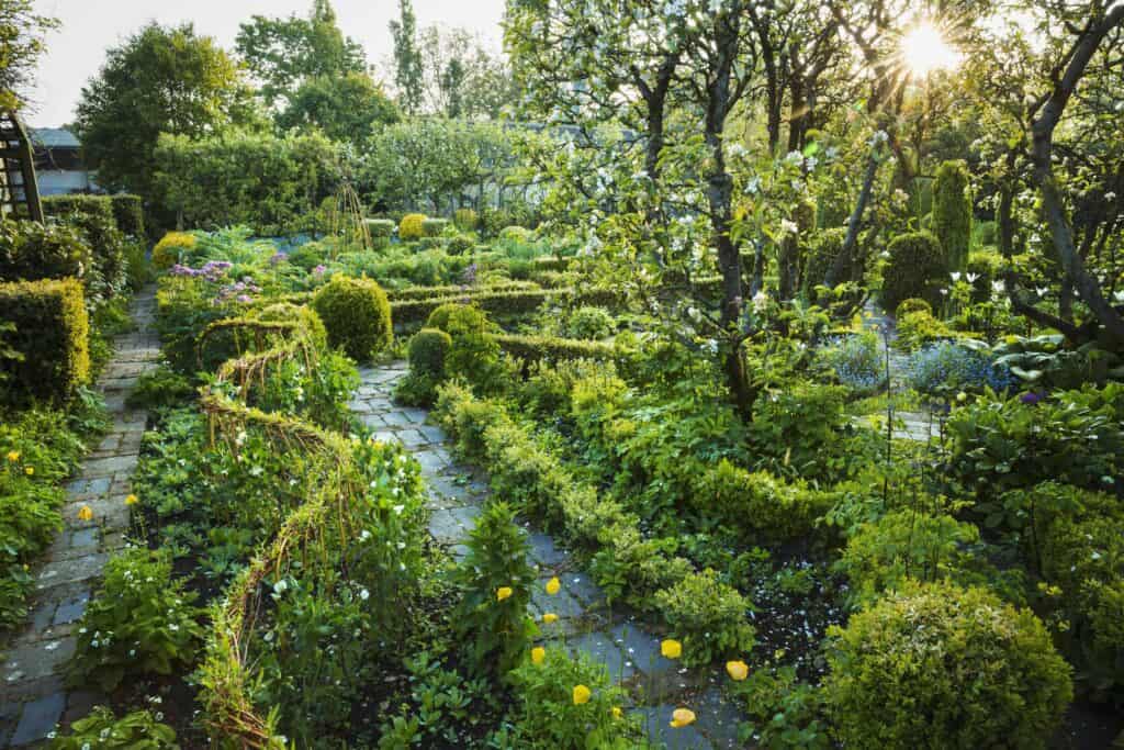 Wat maakt een tuin optisch groter?