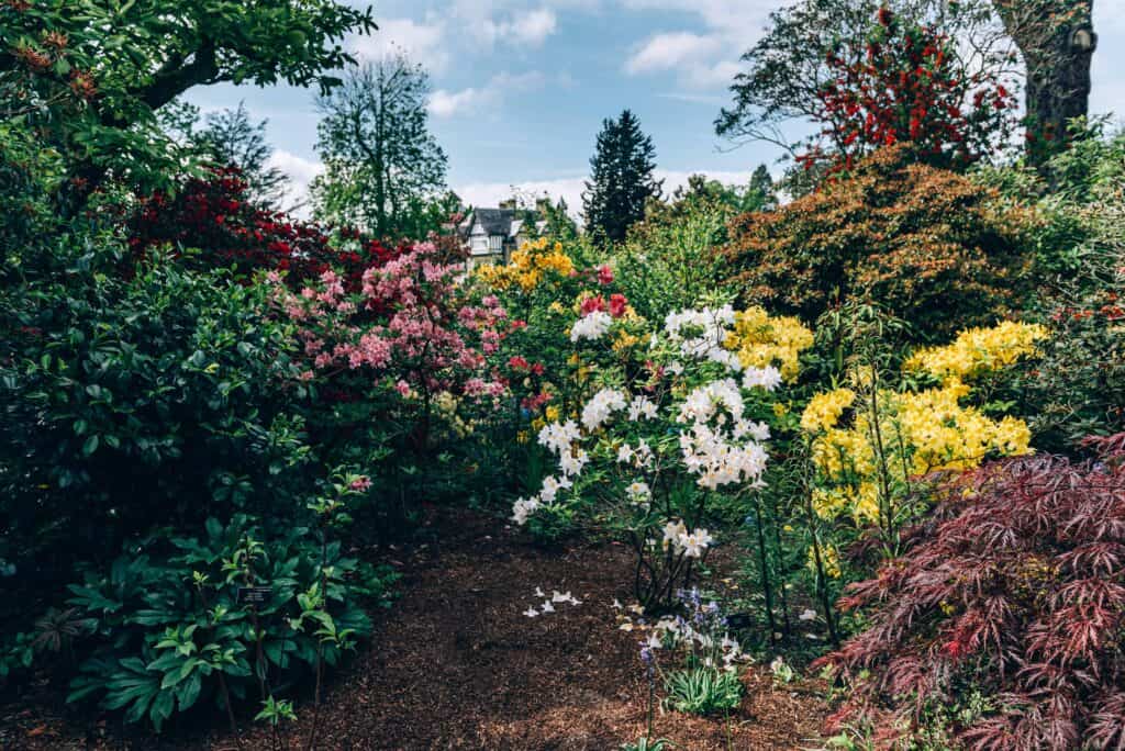 Welke bloemen in kleine tuin?