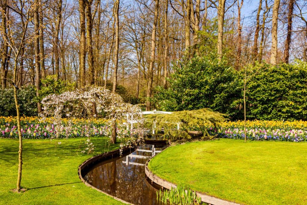 Welke planten in een kleine tuin?