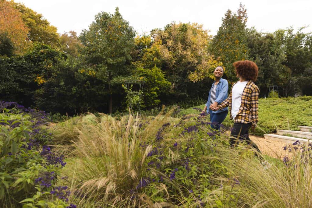 Welke planten in strakke voortuin?