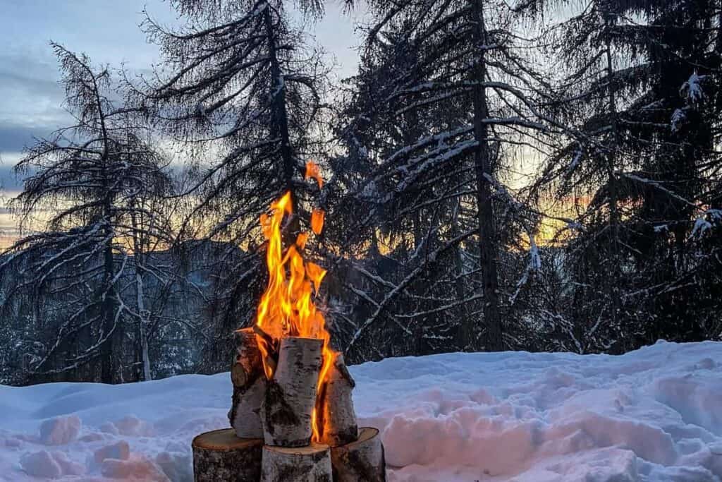 hoeveel brandhout nodig per winter?