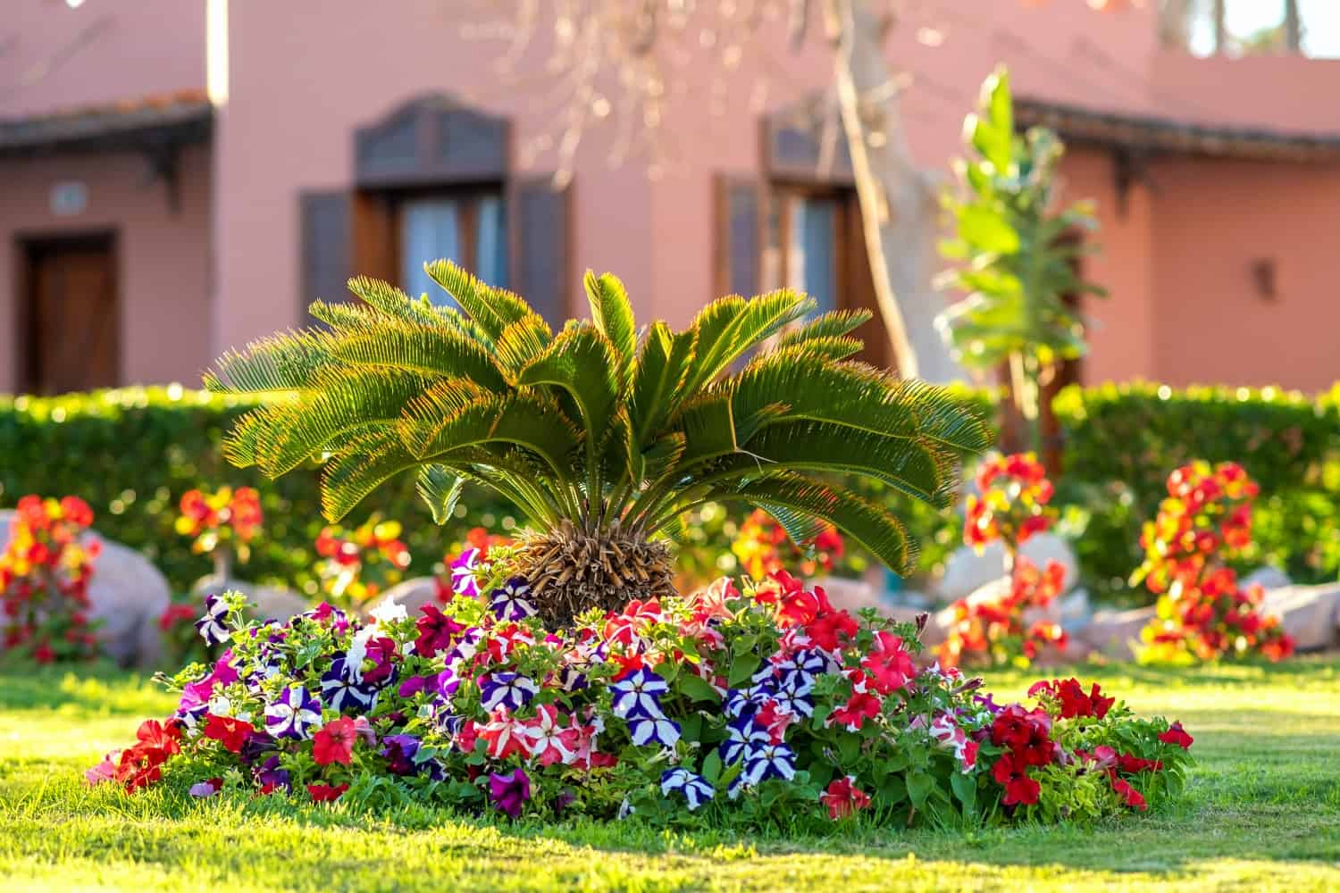 Tuinrichting met kleurrijke planten