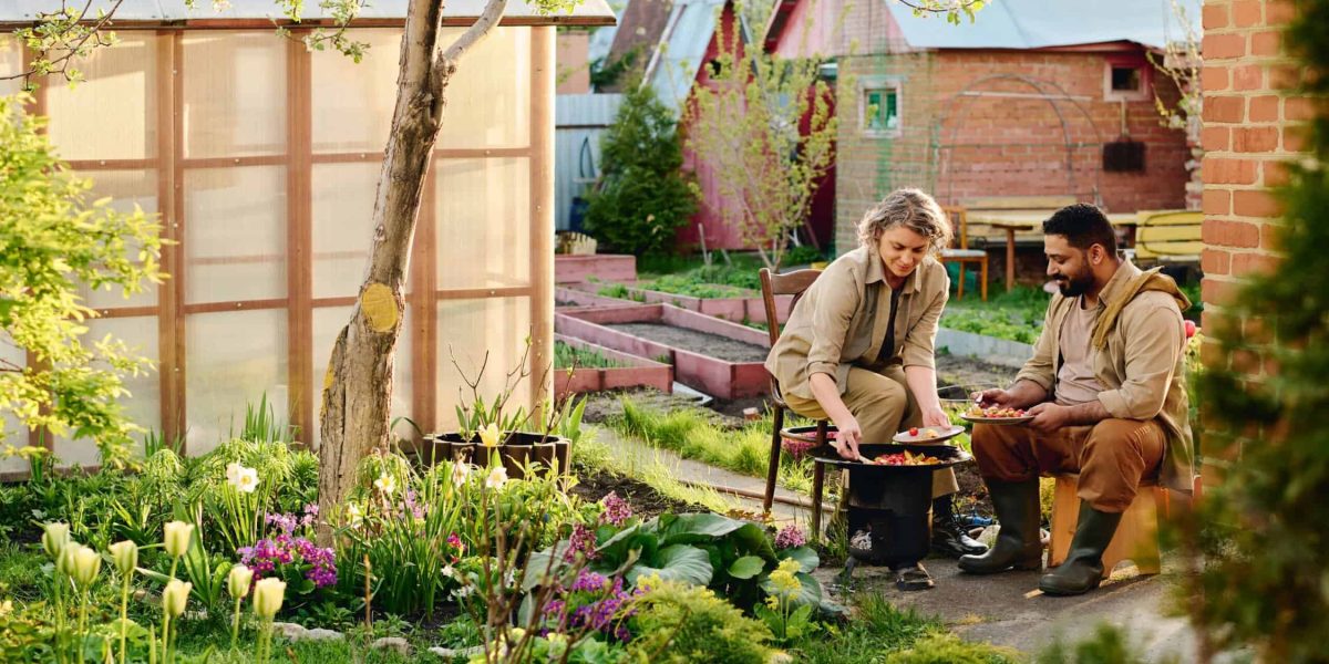 Groenblijvende Boom Kleine Tuin