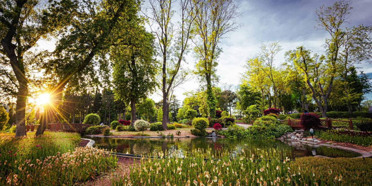 Hoe laat je een kleine tuin groter lijken?