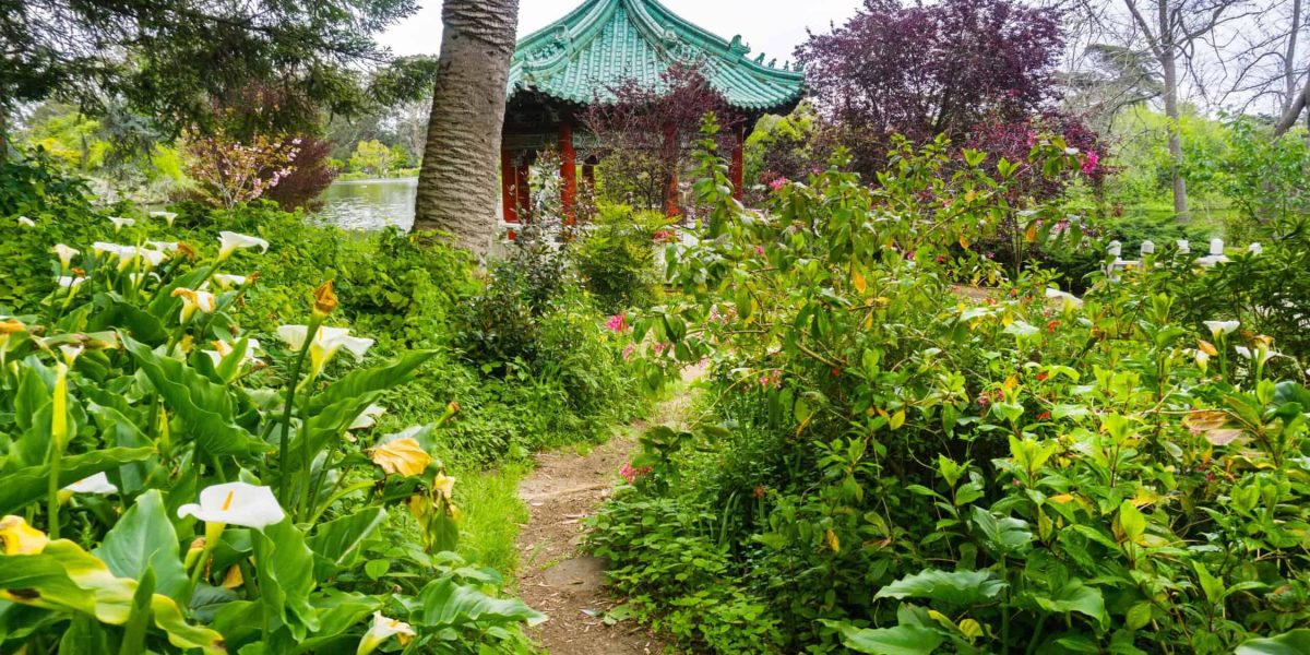 Hoe maak je een onderhoudsvrije tuin?