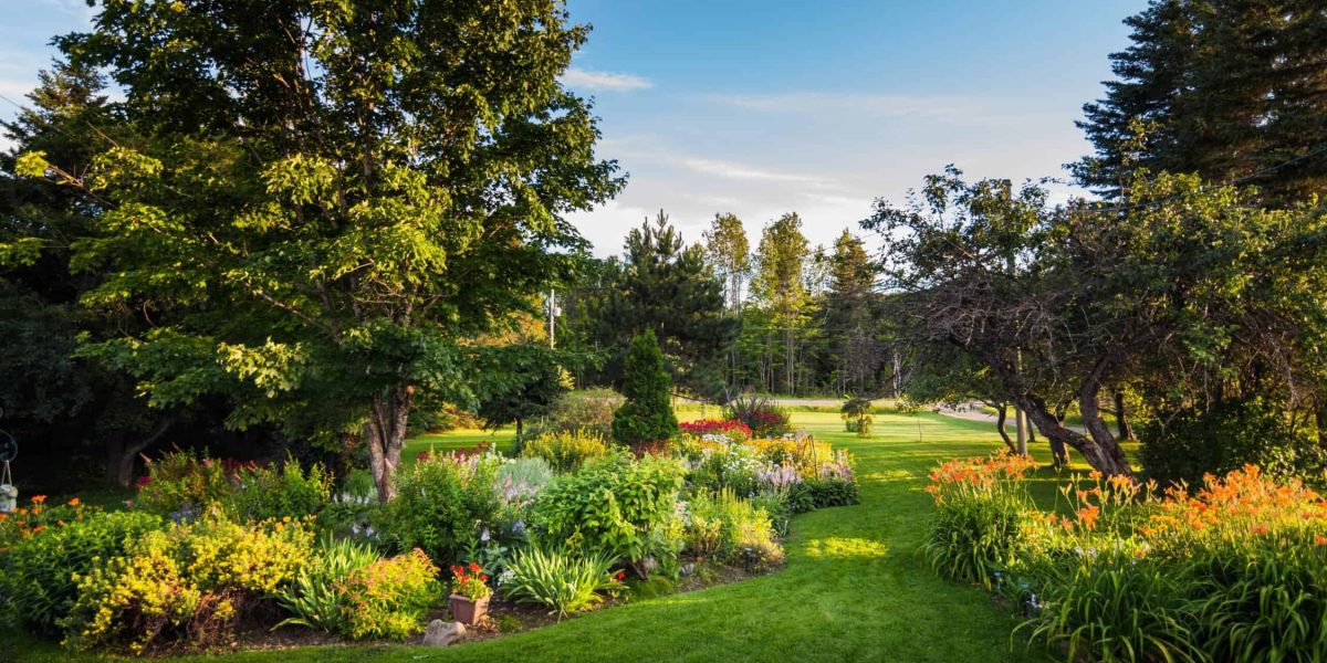 Hoe plant ik een tuin aan?