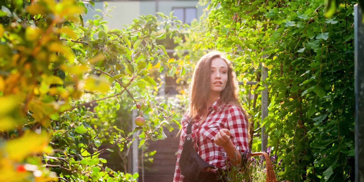 Hoe richt je een smalle tuin in?