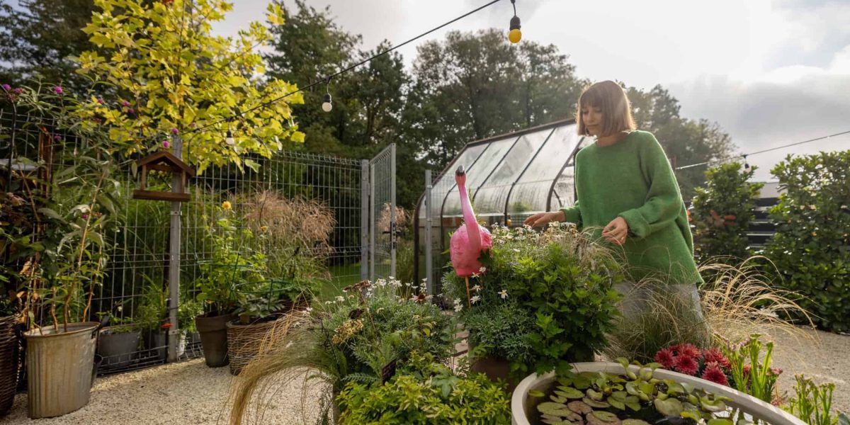 Hoe tuin romantisch maken?