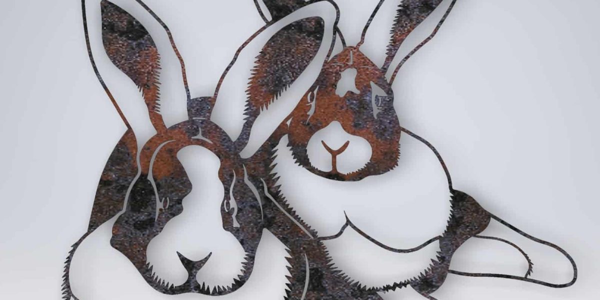 Resultaat van een portret van een huisdier: konijnen