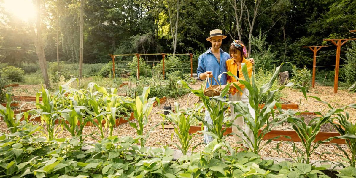 Wat is de beste tijd om een tuin aan te leggen?