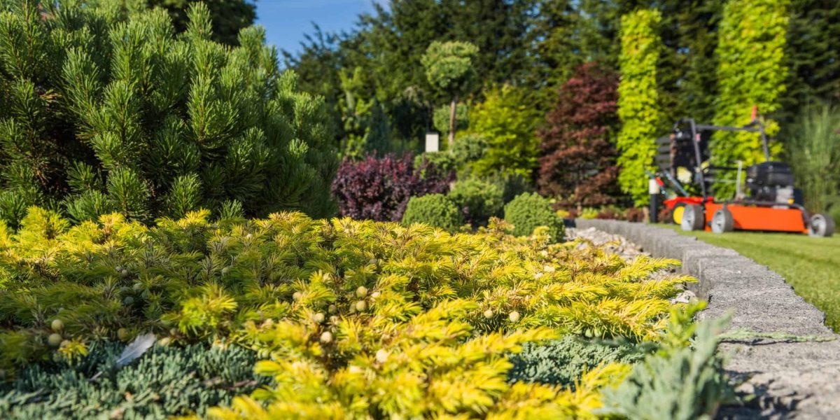 Wat kost een tuin man per uur?