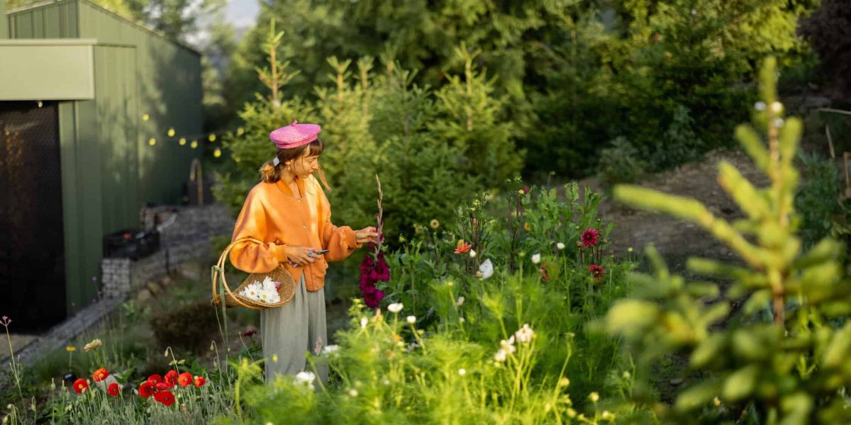 Wat kost het om een tuin aan te leggen?