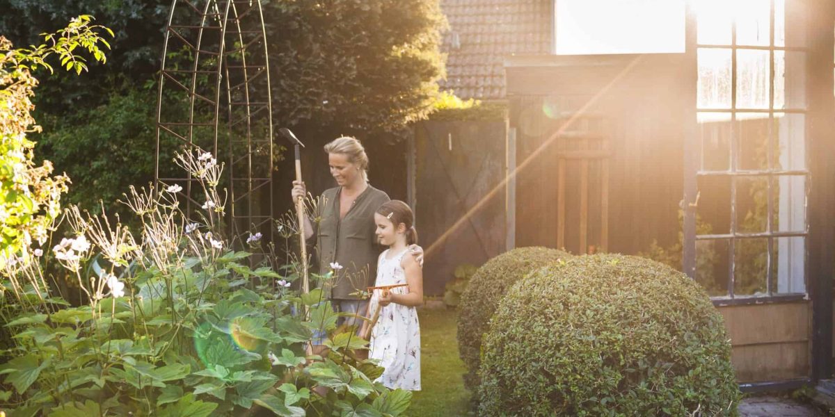 Wat maakt een tuin duur?