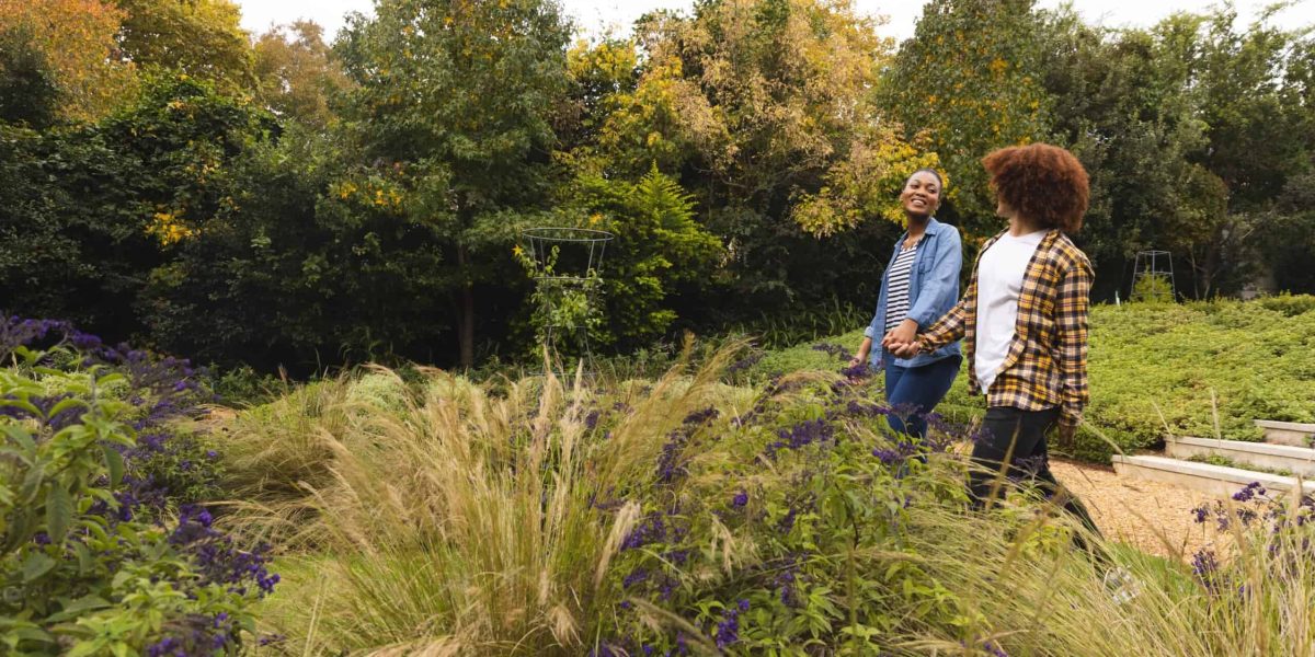 Welke planten in strakke voortuin?