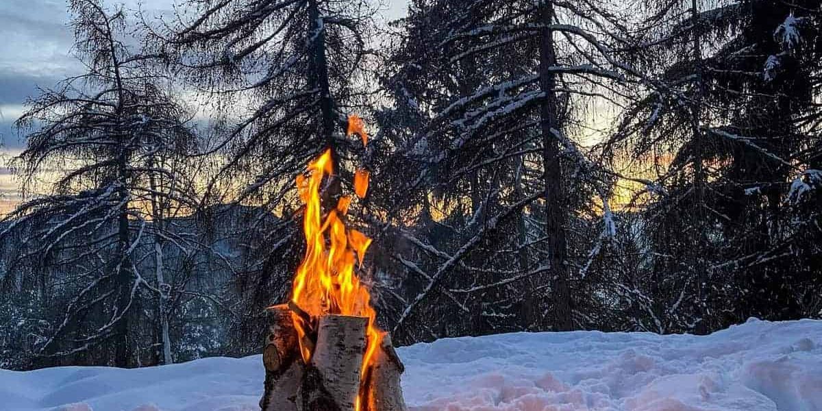 hoeveel brandhout nodig per winter?