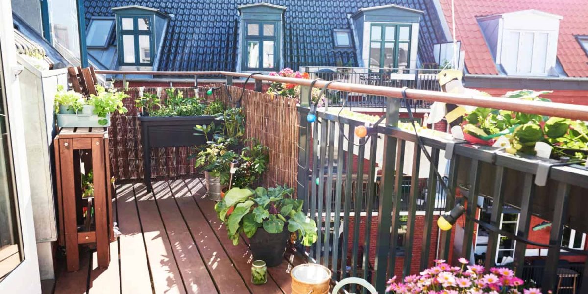 planten voor het balkon